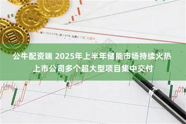 公牛配资端 2025年上半年储能市场持续火热 上市公司多个超大型项目集中交付