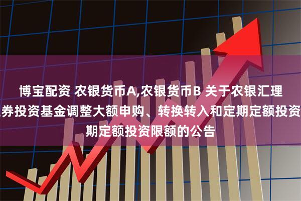 博宝配资 农银货币A,农银货币B 关于农银汇理货币市场证券投资基金调整大额申购、转换转入和定期定额投资限额的公告