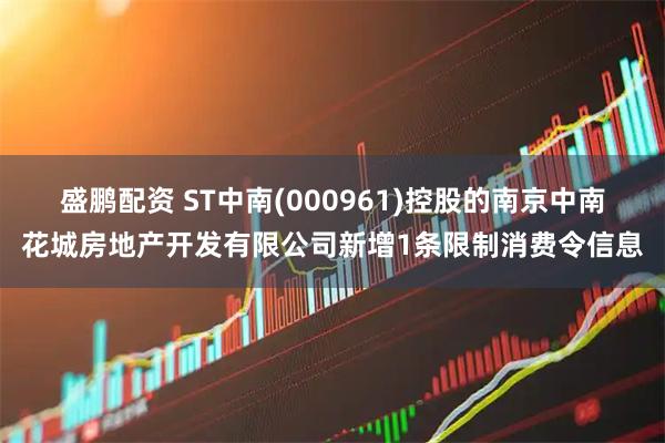 盛鹏配资 ST中南(000961)控股的南京中南花城房地产开发有限公司新增1条限制消费令信息