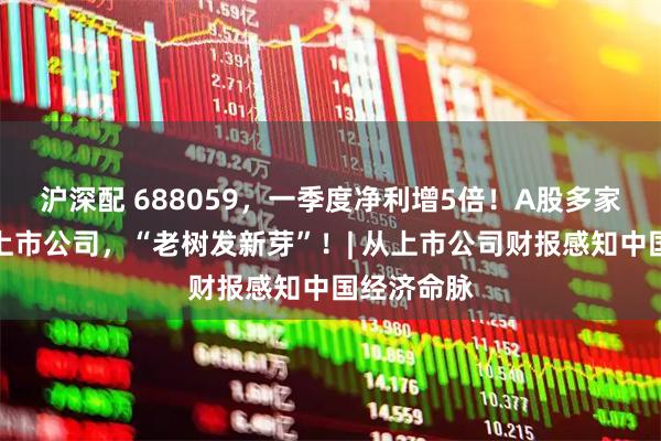 沪深配 688059,一季度净利增5倍!A股多家传统产业上市公司,“老树发新芽”!| 从上市公司财报感知中国经济命脉