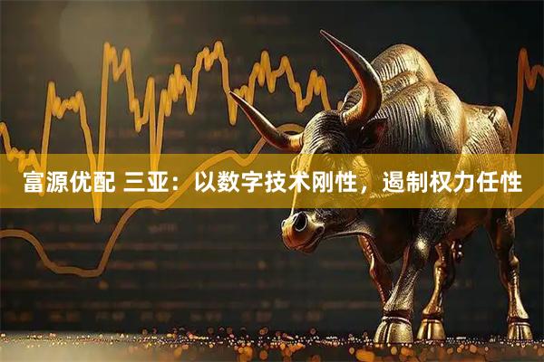 富源优配 三亚：以数字技术刚性，遏制权力任性