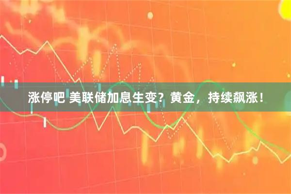 涨停吧 美联储加息生变?黄金,持续飙涨!